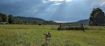 168 acre farm, salmon river runs through farm, 42ft fifth wheel.