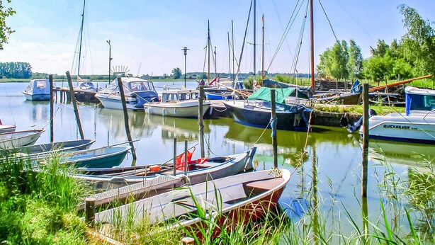 Un puerto deportivo con varias embarcaciones amarradas, rodeado de vegetación y árboles.