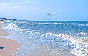 Beach - Ferienwohnung Dierhagen (Dierhagen (Ostseebad))