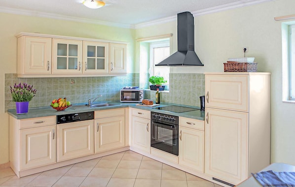 Fridge, oven, stovetop, dishwasher