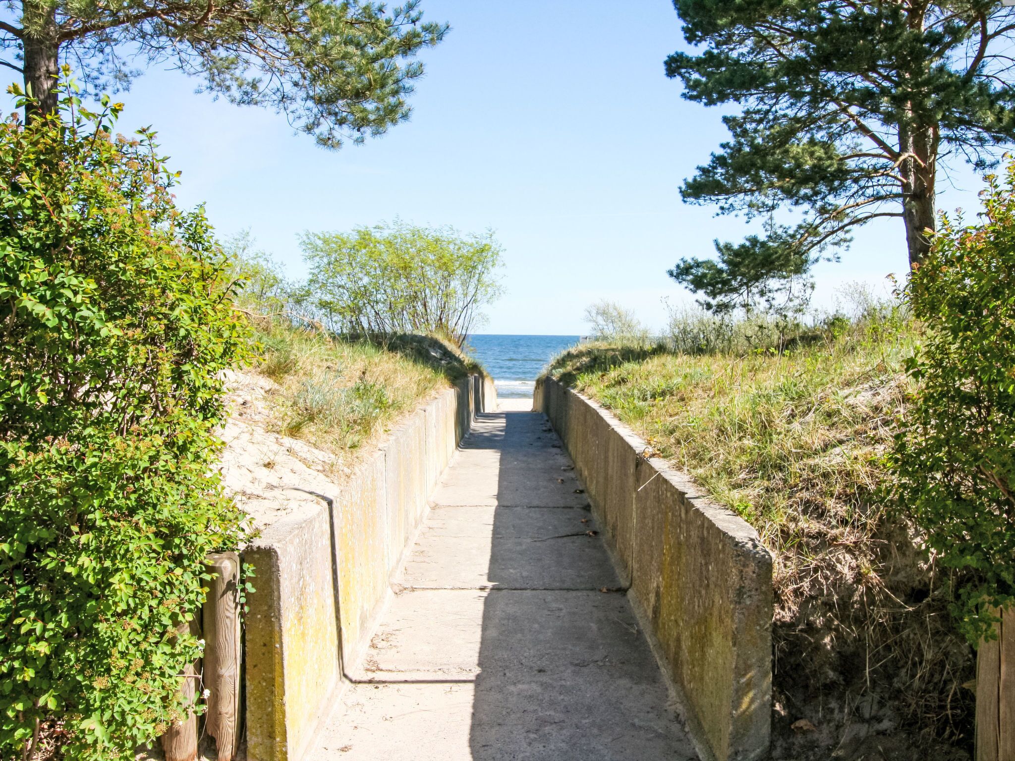 A concrete pathway leading to a beach, flanked by greenery and trees.