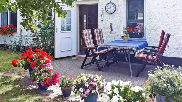 Un patio con tavolo e sedie, circondato da vasi con piante e fiori.