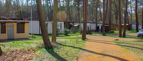 A campground with RVs and mobile homes, surrounded by trees.