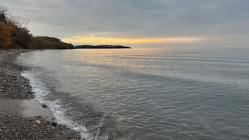 Ranta