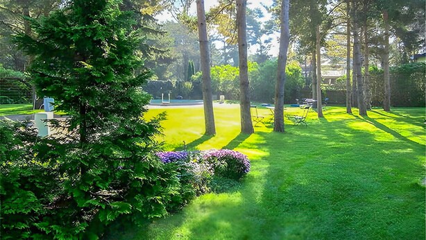 A well-maintained park with a variety of trees, a grassy area, and a small pond. - Ferienwohnung Pruchten (Pruchten)