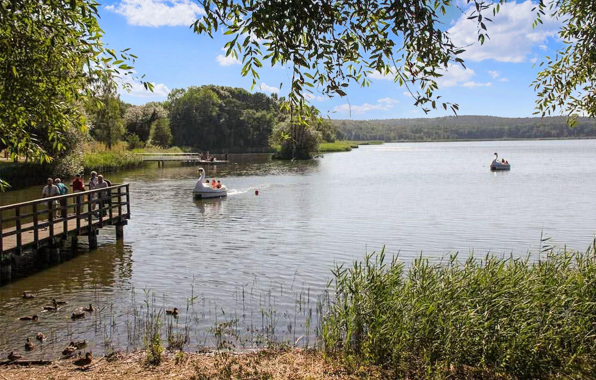 Um lago tranquilo com um píer de madeira e um barco em forma de cisne.