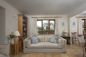 TV, lareira, DVD player, livros