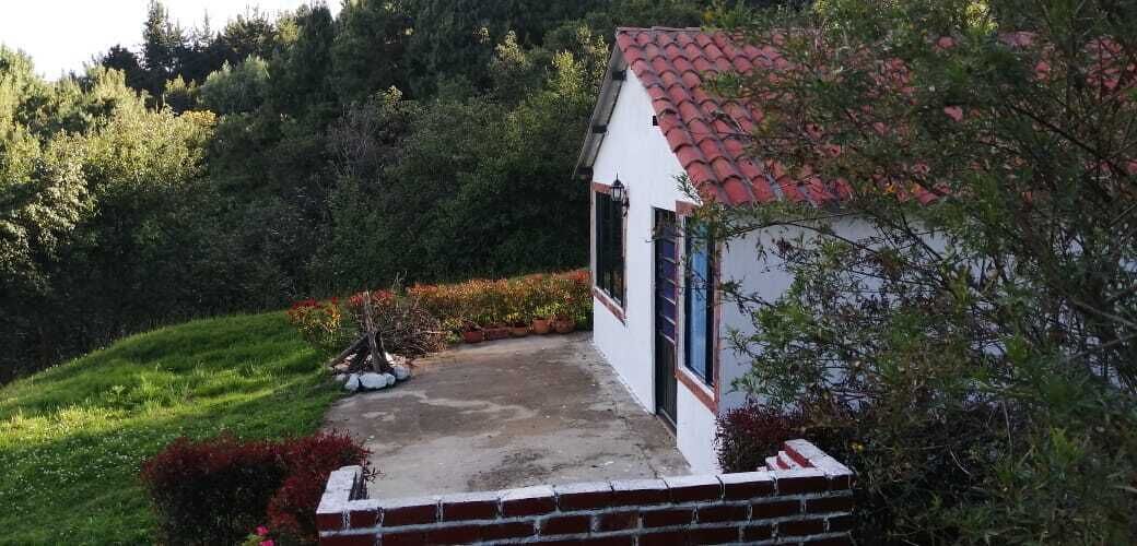 A small white building with a red-tiled roof, surrounded by lush greenery and a paved pathway leading to the entrance.