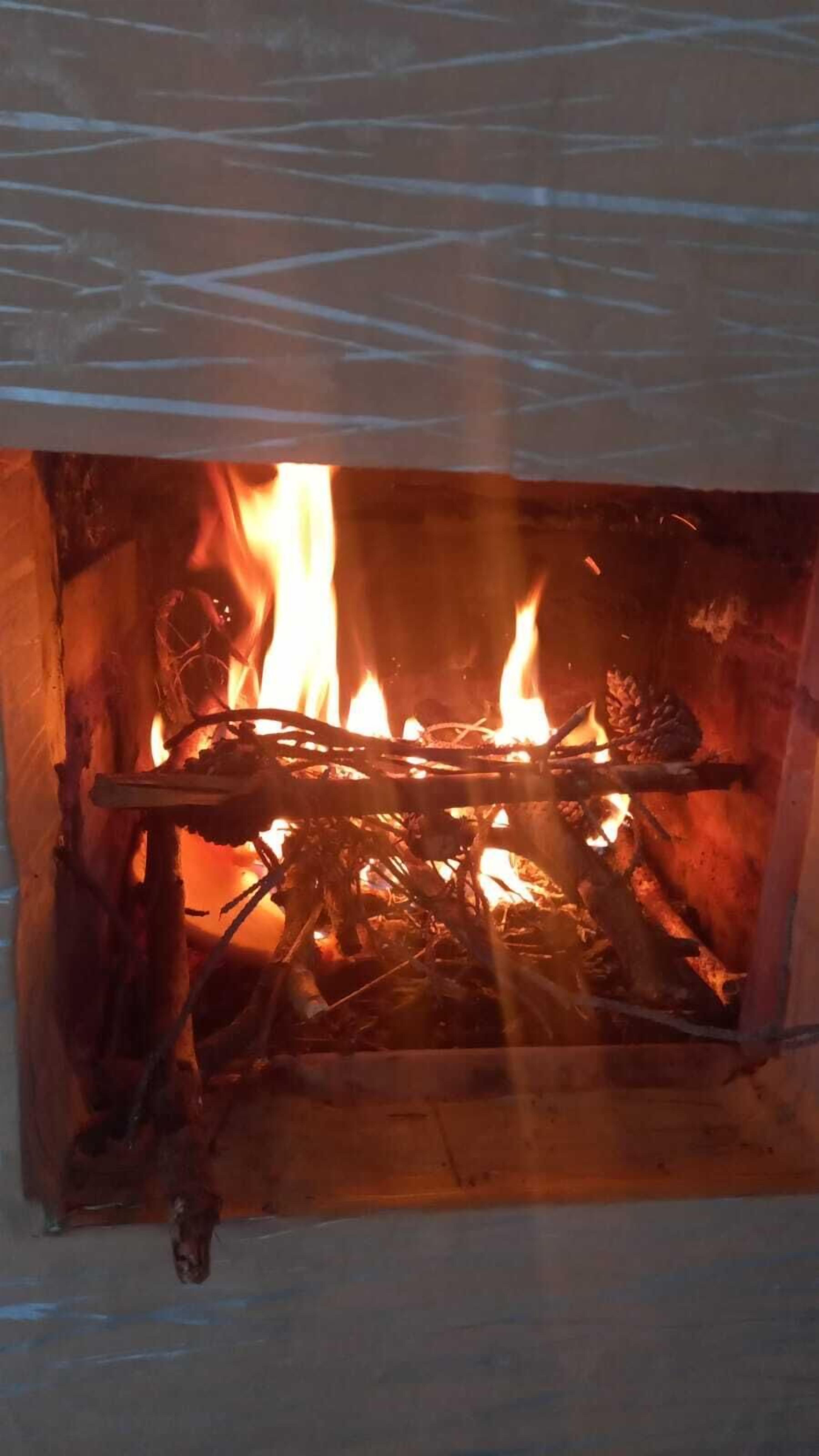 Une cheminée avec des bûches et des flammes.
