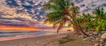 Beachfront Studio 4, Playa Palo Seco