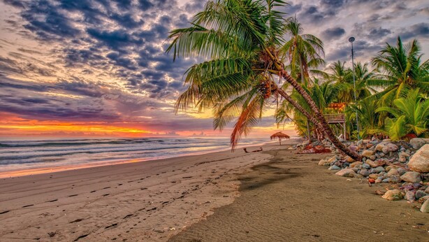 A beach with palm trees, a wooden structure, and a rocky area. - Fully Equipped Beach Bungalow 1 (Parrita)