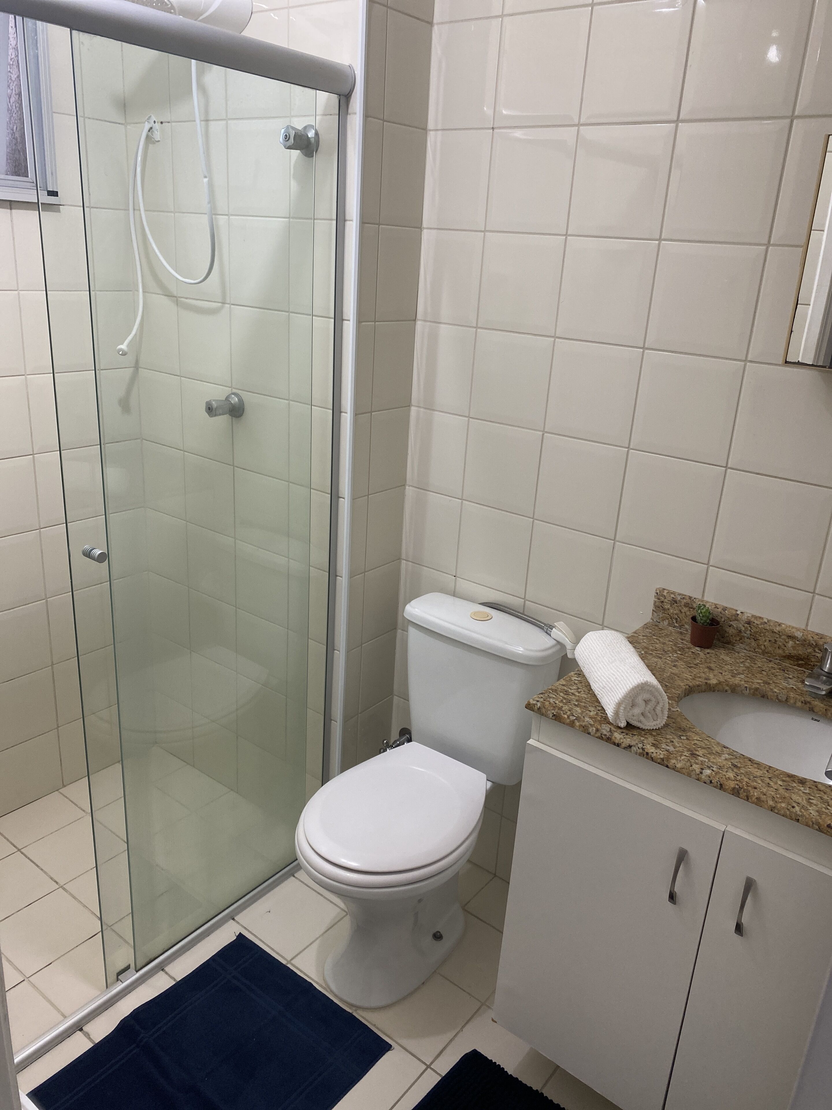 Hiustenkuivaaja, pyyhkeet, saippua, sampoo