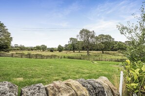 Un paysage rural avec un mur de pierres, un champ herbeux et des arbres.