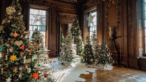 A grand room with ornate wood paneling, large windows, and multiple Christmas trees adorned with ornaments.