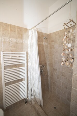 Regadera, secadora de cabello, toallas, jabón 