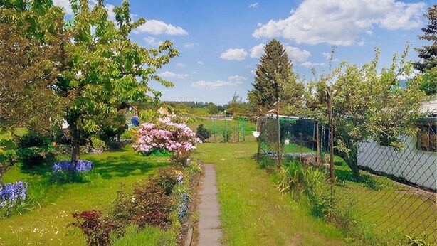 A garden with a pathway, various plants, and a fence.