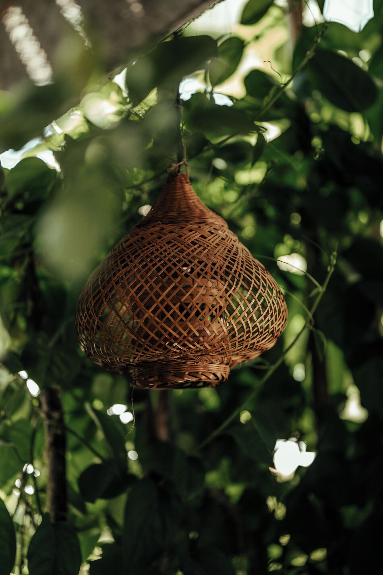 A hanging woven basket in a natural setting.
