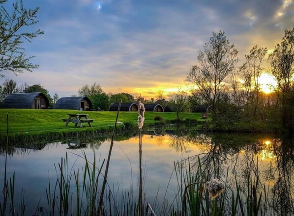 Property grounds - Somerset glamping pod with access to adventure activities. (East Huntspill)