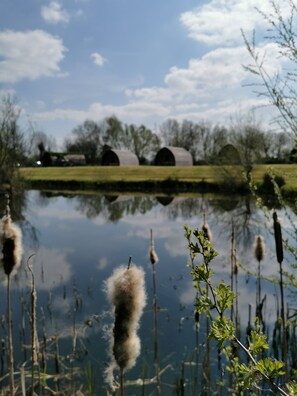 Property grounds - Somerset glamping pod with access to adventure activities. (East Huntspill)