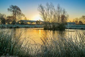 Property grounds - Somerset glamping pod with access to adventure activities. (East Huntspill)