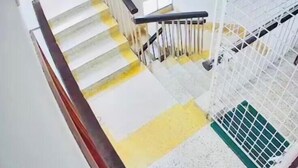 Una escalera con barandilla metálica y una línea amarilla de seguridad en el suelo.