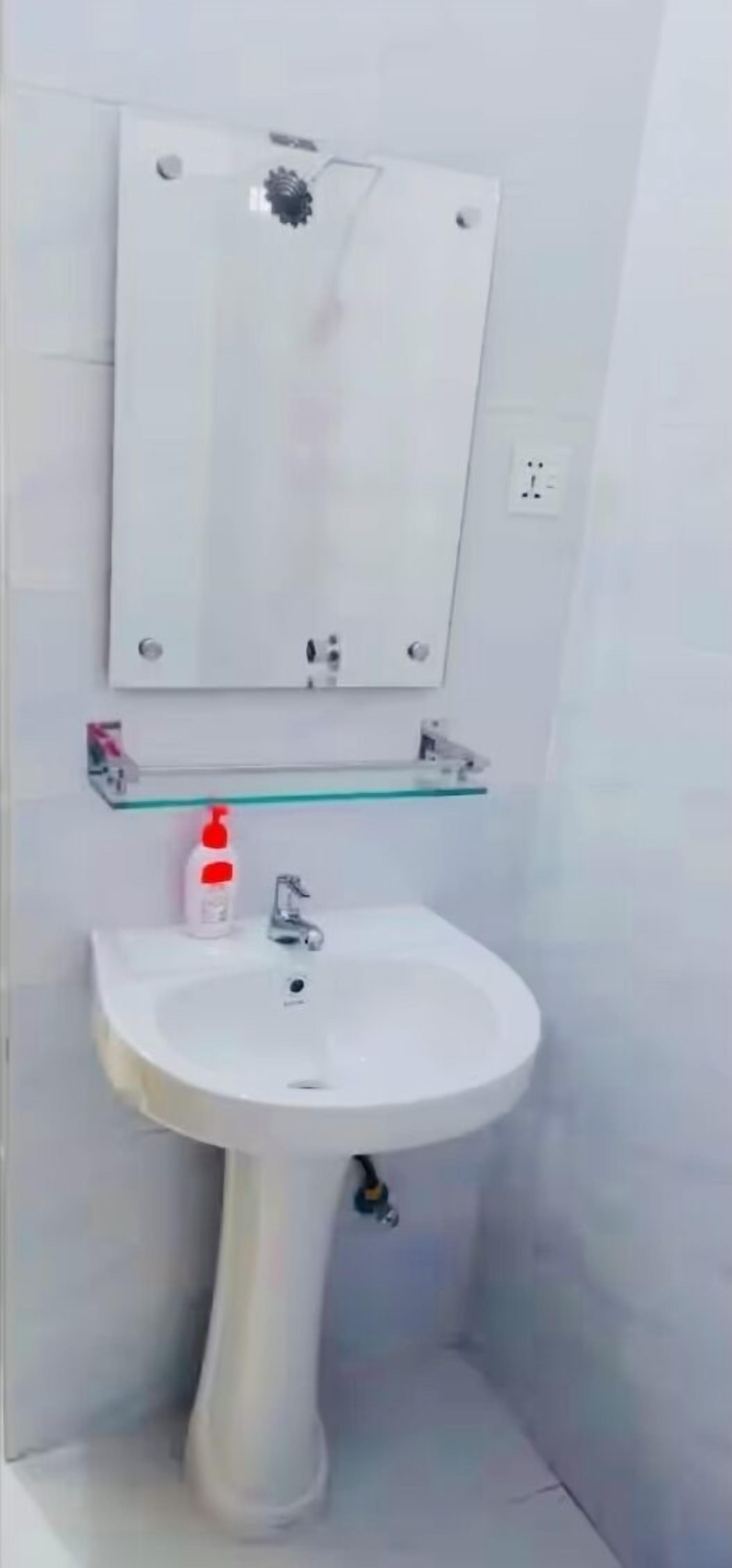 A bathroom with a white pedestal sink, a mirror above it, and a soap dispenser on the sink's edge.