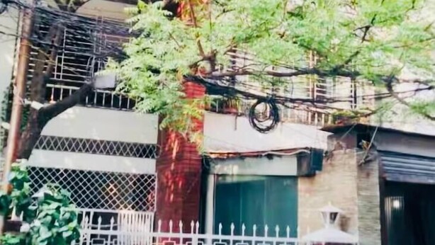 Un árbol frente a un edificio con valla y portón blancos.