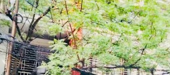 Exquisite 1,950 Sq-Ft Private Apartment @Banani