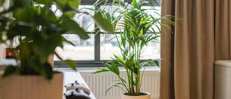 Appartement Confort | 1 chambre, fer et planche Ă repasser, Wi-Fi gratuit, draps fournis