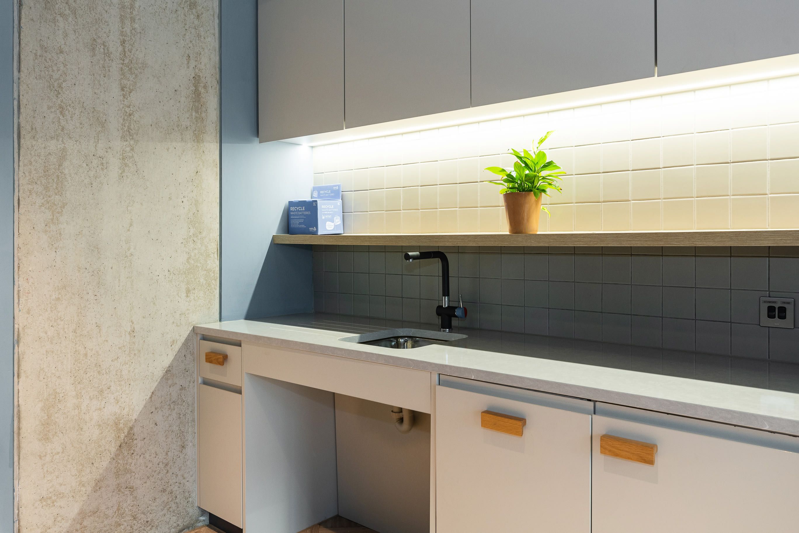 Een moderne keuken met een ingebouwde vaatwasser, een spoelbak en een potplant op het aanrecht.
