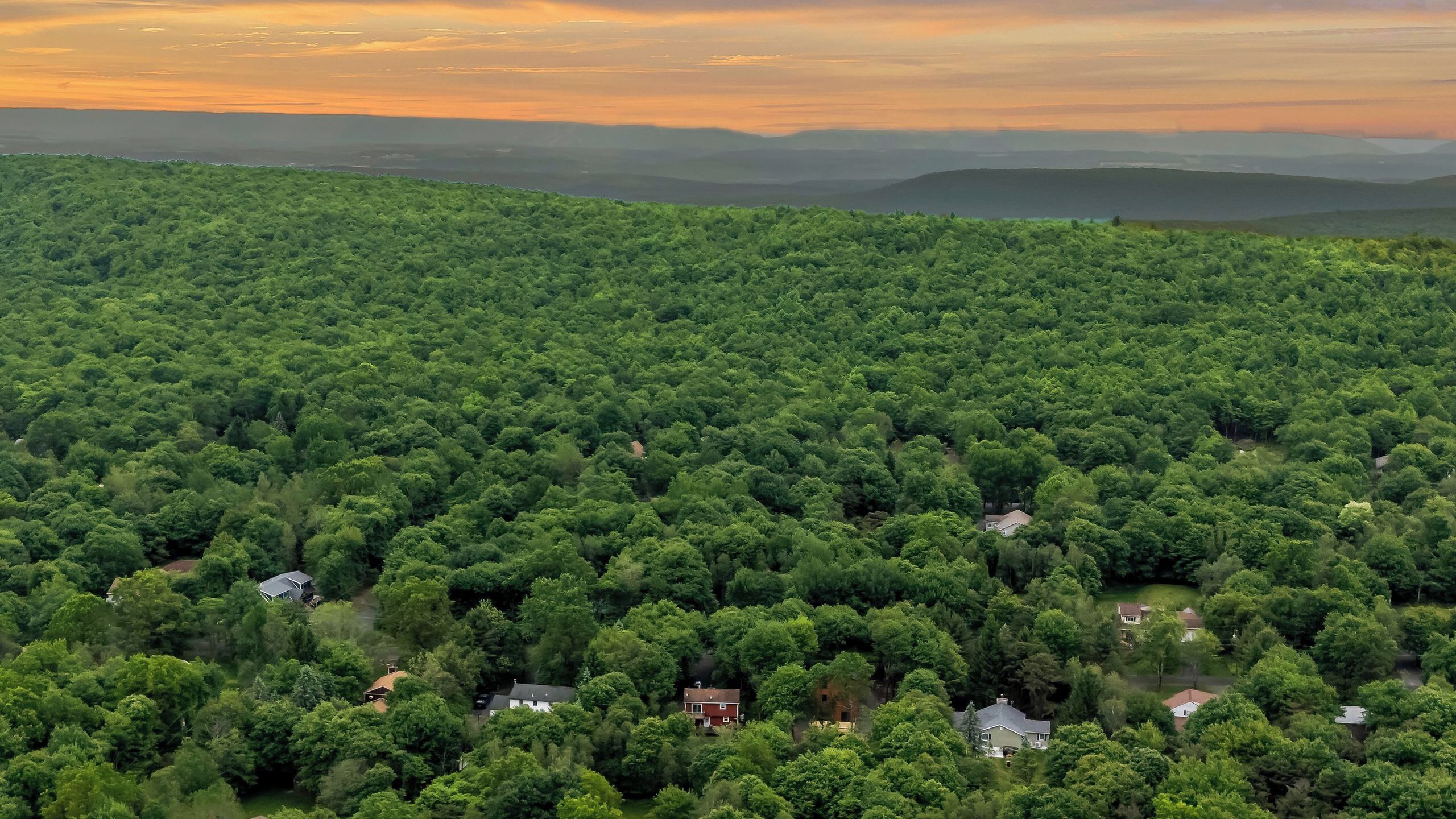 Vue aérienne d’une zone boisée parsemée de maisons.