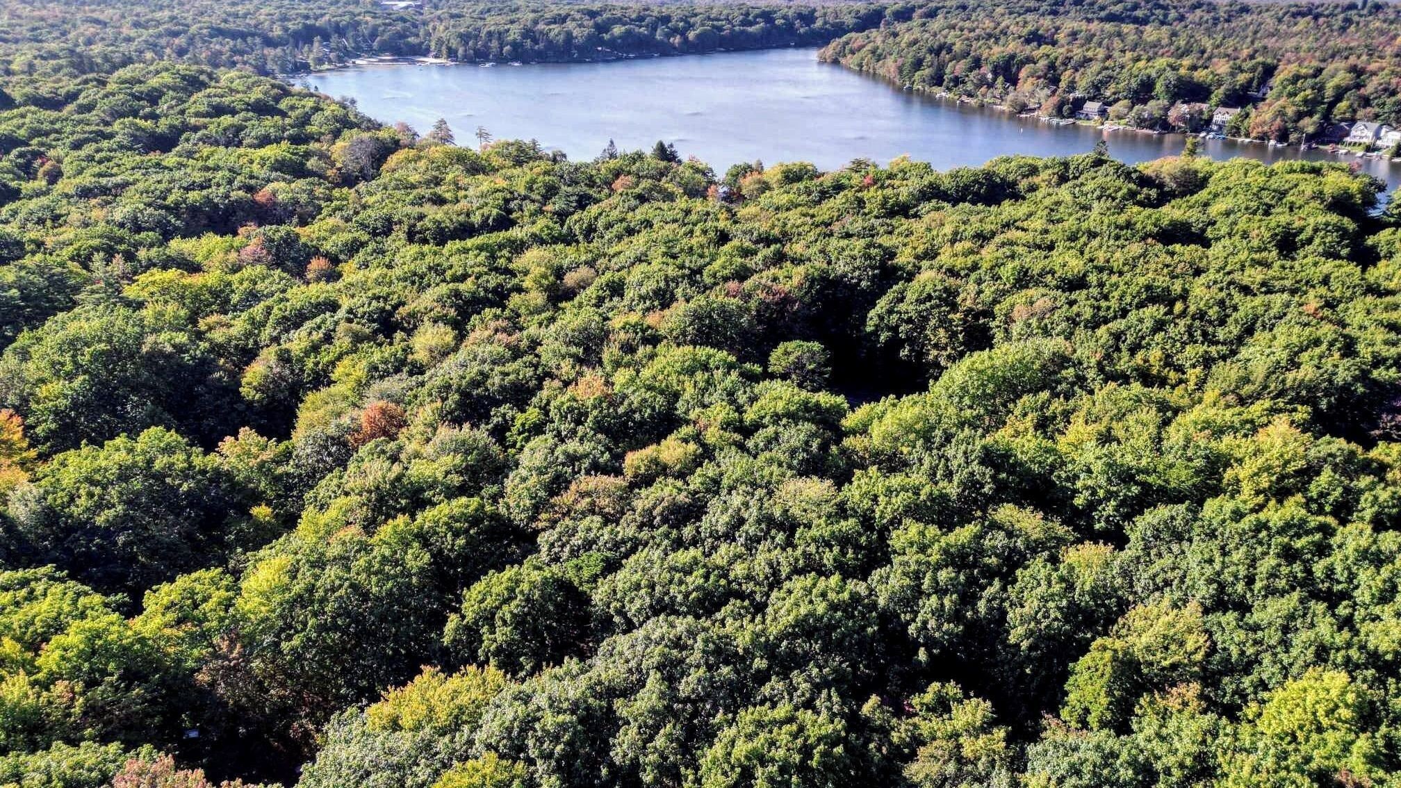 A dense forested area with a lake and scattered buildings.