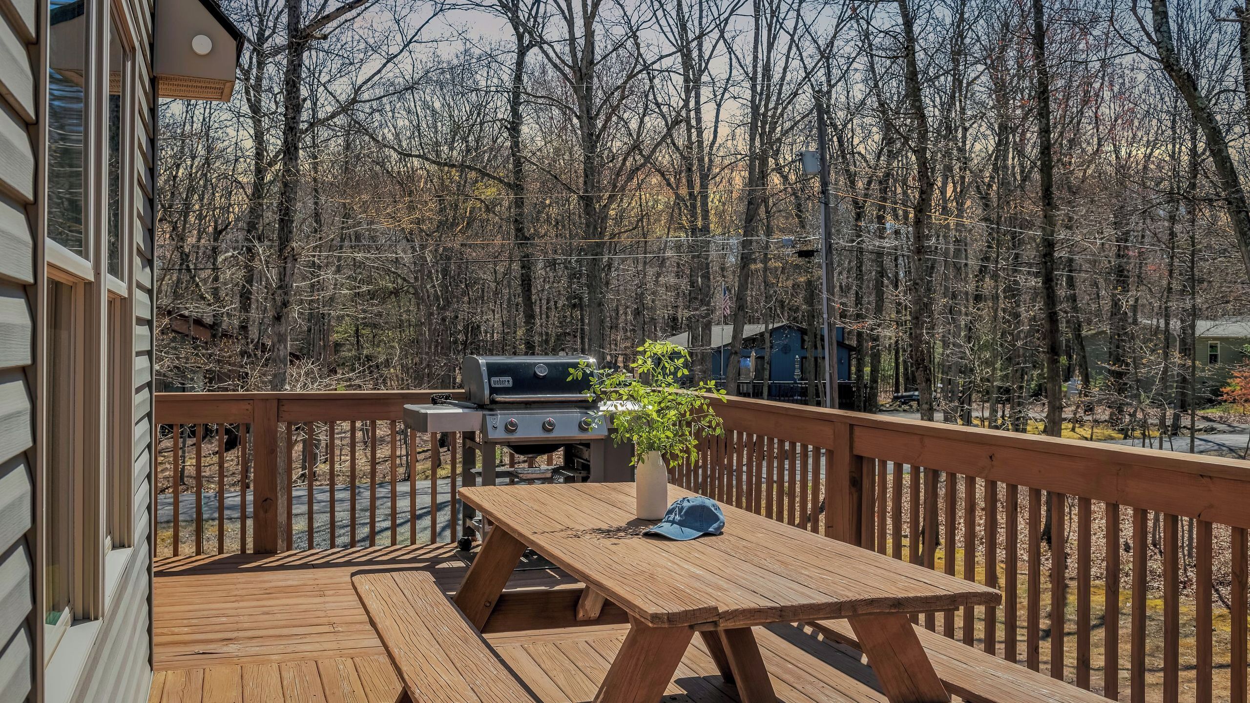 A wooden deck with a grill, a picnic table, and a potted plant.