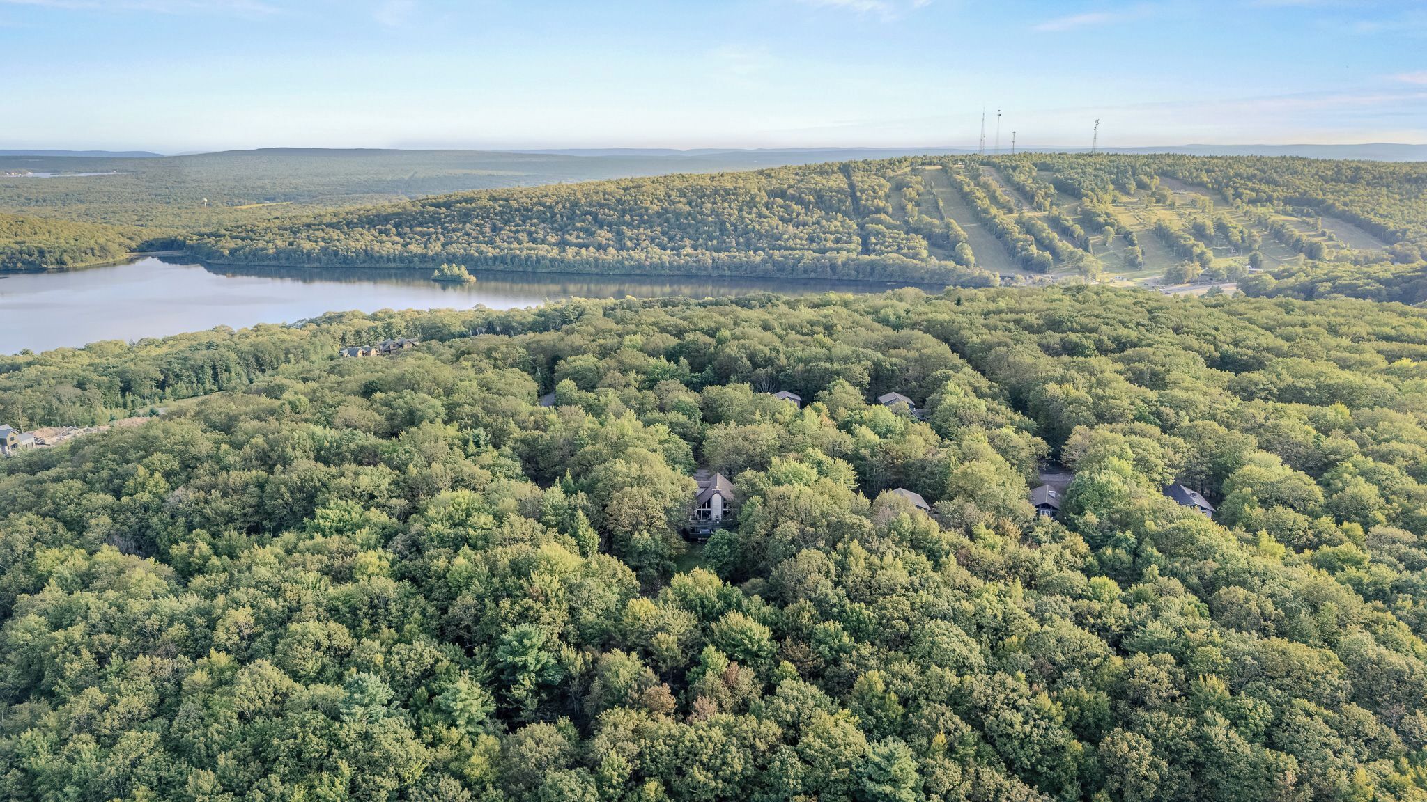 Une vue aérienne d’une zone boisée parsemée de maisons, avec un lac et des lignes électriques visibles au loin.