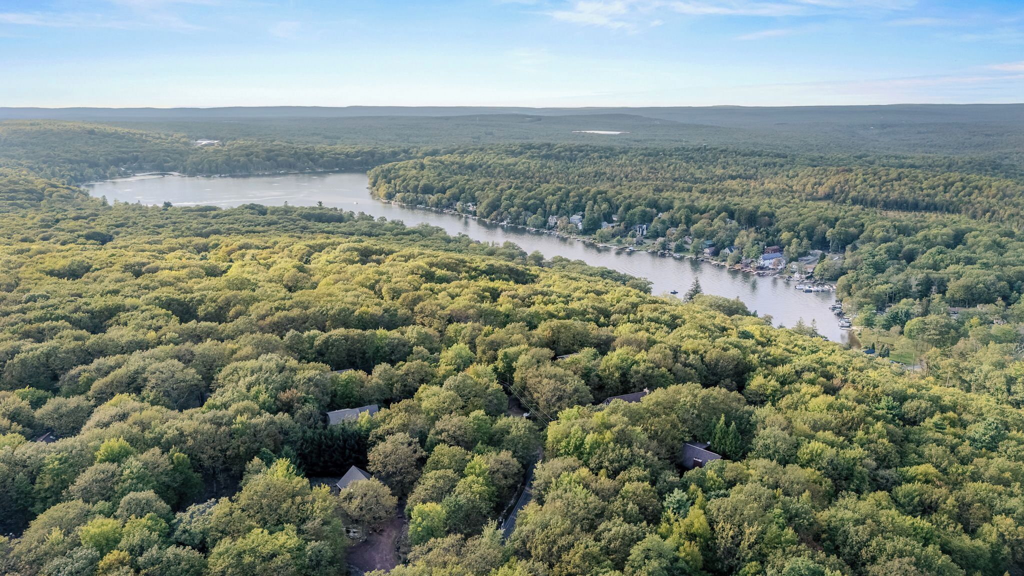 Un fiume serpeggia attraverso una zona boscosa e fitta di alberi, con case lungo le rive.