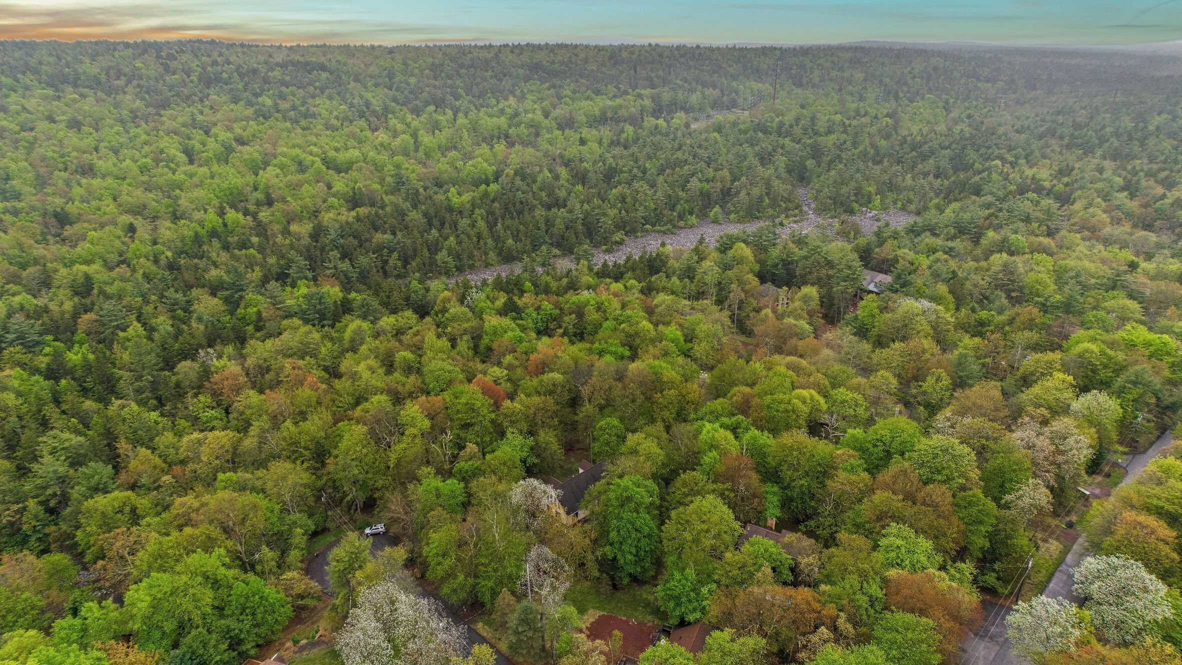 An aerial view of a forested area with a winding road and scattered buildings.