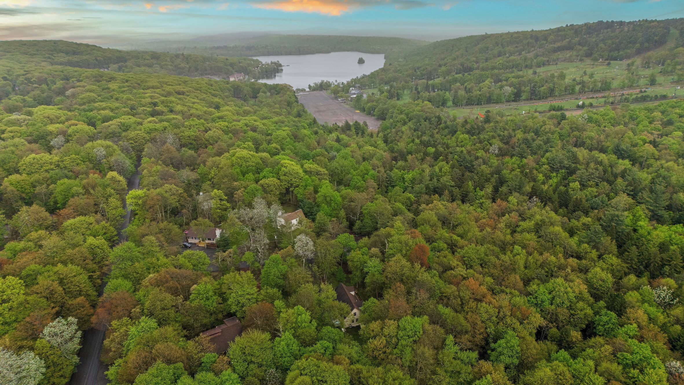 A forested area with a lake and a road.