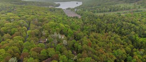 A forested area with a lake and a road.