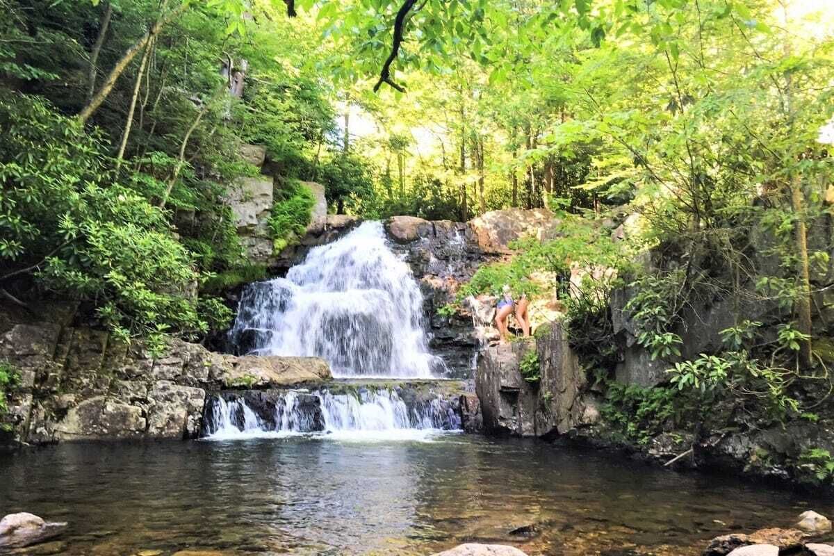 A waterfall cascading over rocks into a clear pool surrounded by lush greenery.