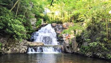 A waterfall cascading over rocks into a clear pool surrounded by lush greenery.