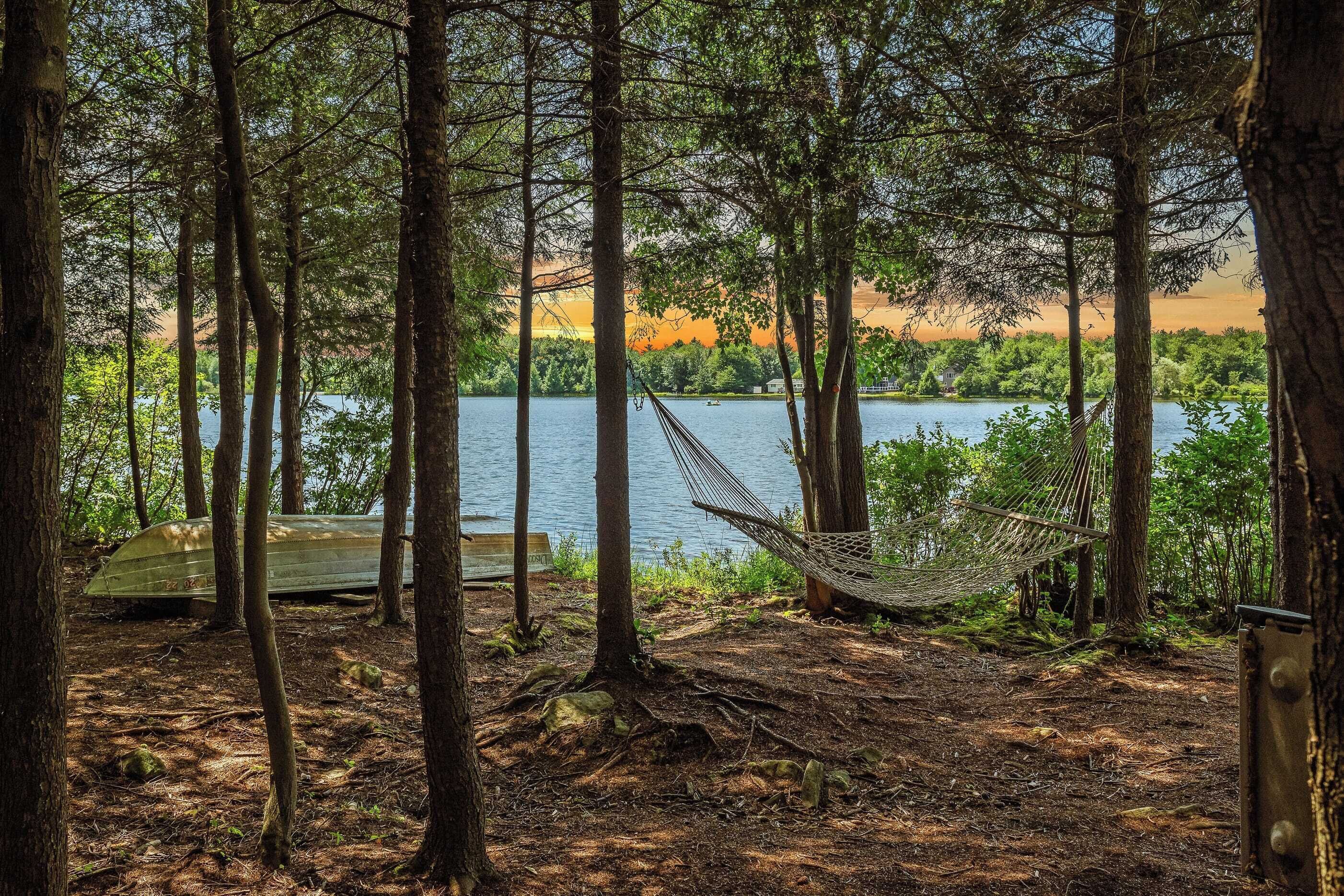 Un hamac dans une zone boisée, avec un lac et des bateaux en arrière-plan.