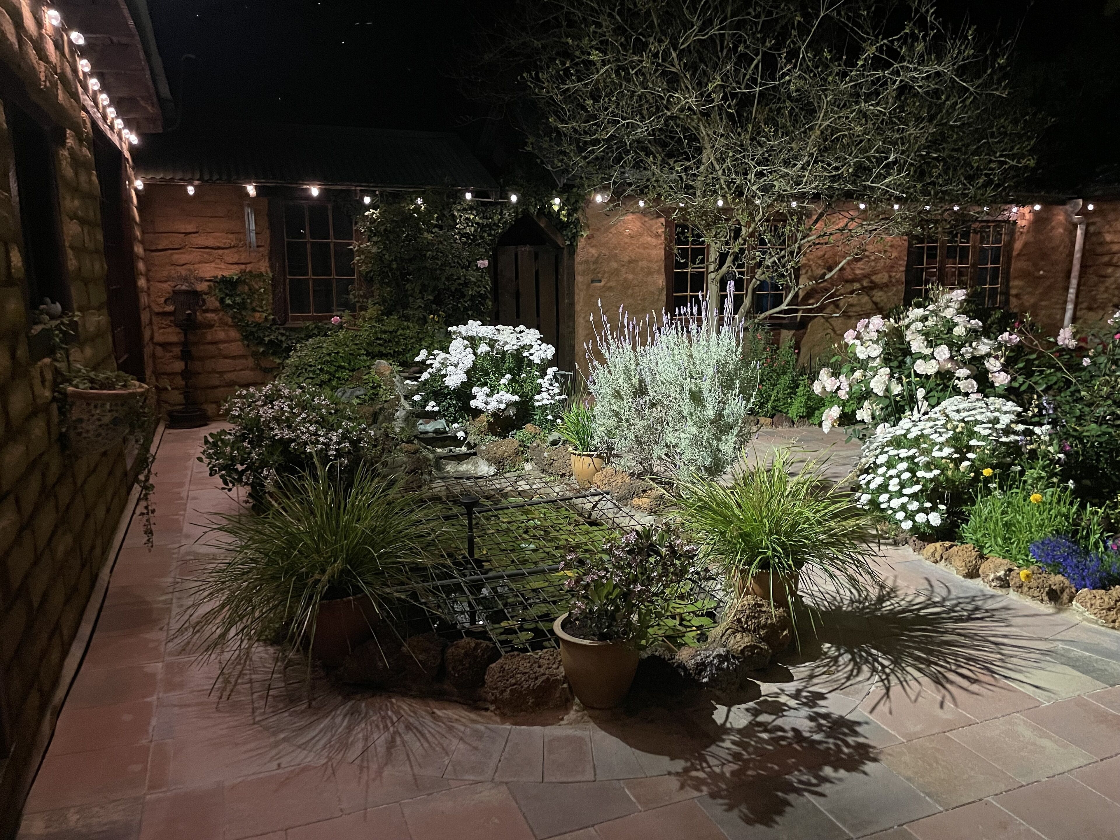 A courtyard with potted plants, a stone wall, and string lights.