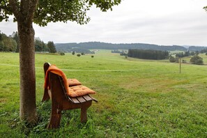 A bench under a tree in a grassy field with a view of a distant forest and rolling hills.