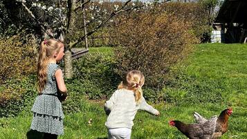 Two children in a grassy outdoor area with a chicken, a wooden structure, and a clear sky.