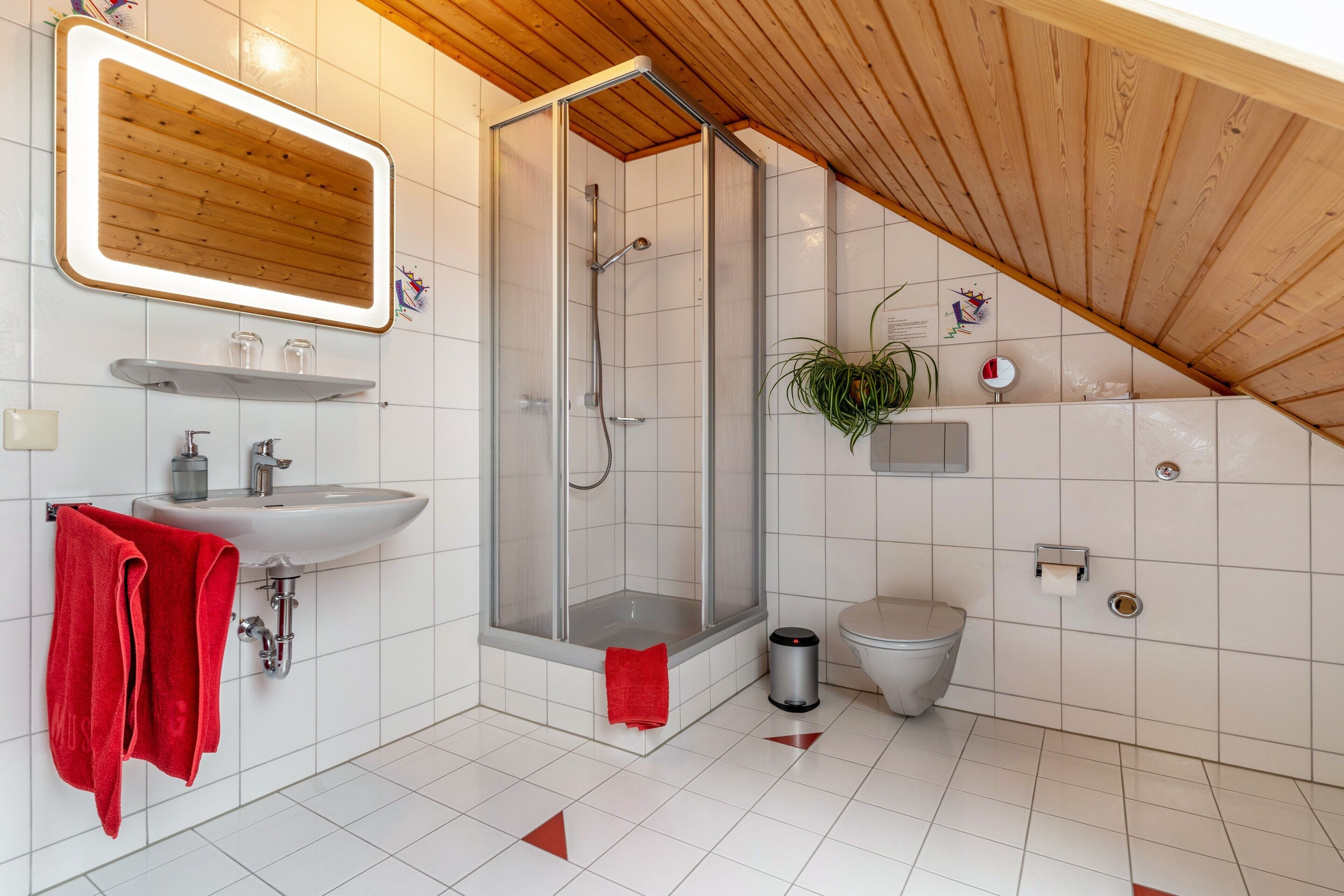 Dusche, Haartrockner, Handtücher