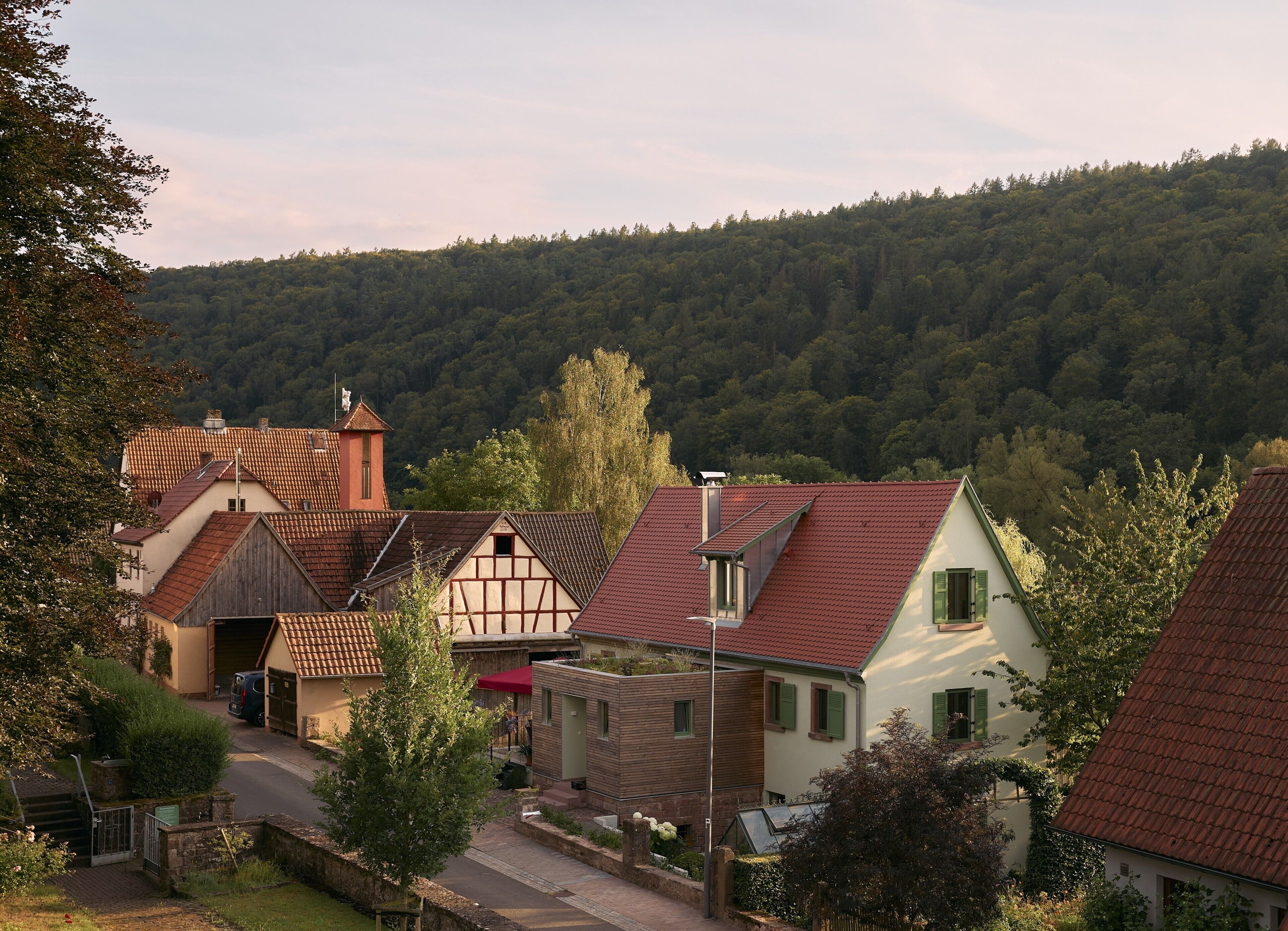 A residential area with traditional houses, a street, and a forested hill in the background.