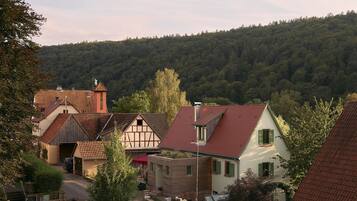 A residential area with traditional houses, a street, and a forested hill in the background.