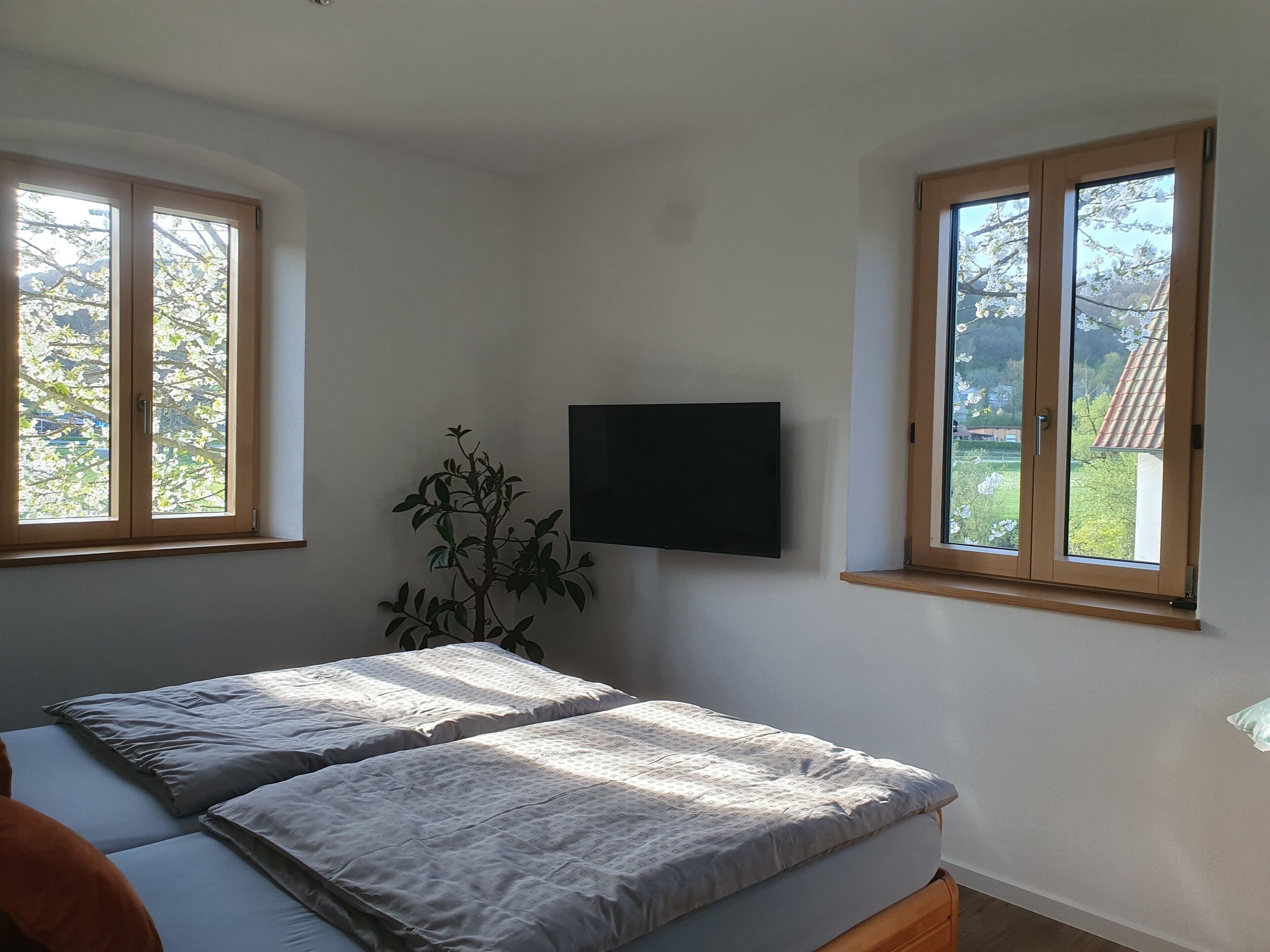 A bedroom with two beds, a TV, and a window with a view of trees.