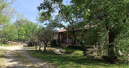 Finca La Josa, Candeleda, Gredos, Vutav397