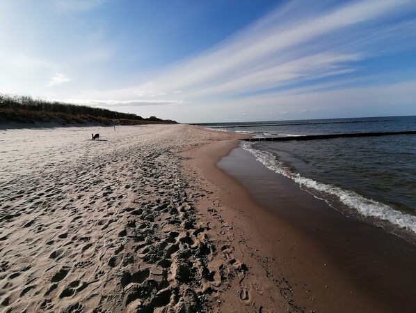 Plage à proximité